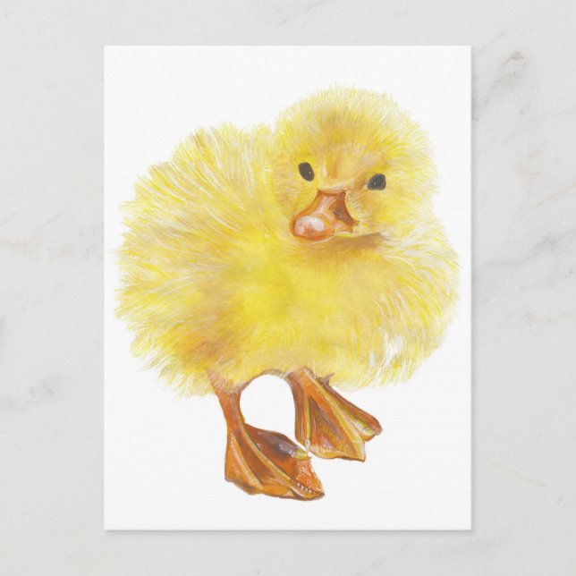 Ducky, Baby chick Postkarte (Vorderseite)
