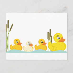 Ducky Family Postkarte