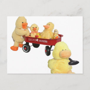 Ducky Flyer Postkarte