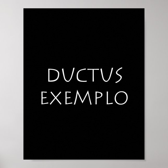 Ductus exemplo poster (Vorne)