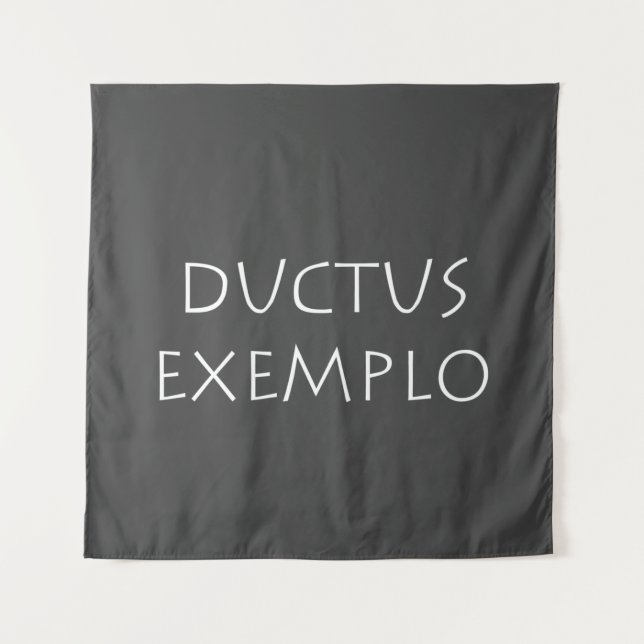 Ductus exemplo wandteppich (Vorderseite)