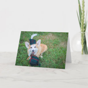 Dudelsack-Corgi leere Grußkarte Karte