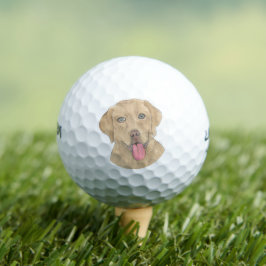 Dudley Labrador Golfball