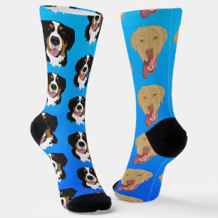 Dudley Labrador und Bernese Mountain Dog Socken