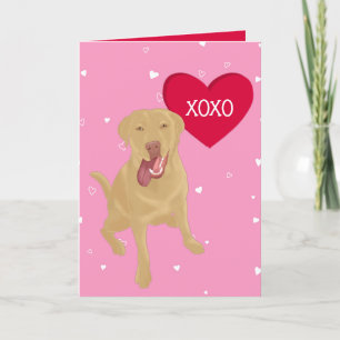 Dudley Labrador Valentines XOXO Dankeskarte