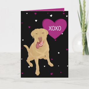 Dudley Labrador Valentines XOXO Dankeskarte
