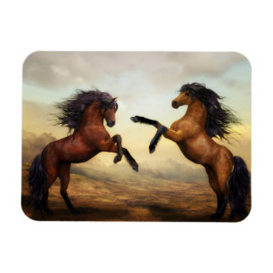 Dueling Hengste Malen Magnet
