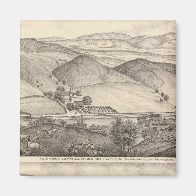 Duerr, Nusbaumer, Bachelder Magnet (Vorne)