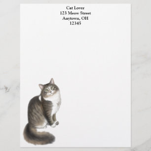 Duffy der Maine-Waschbär-Katzen-Briefkopf Briefkopf