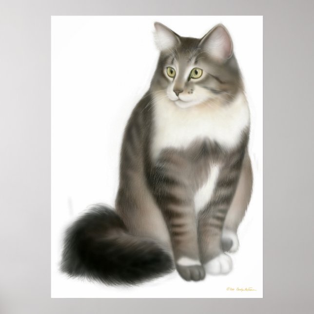 Duffy die Maine-Coon-Katze drucken Poster (Vorne)