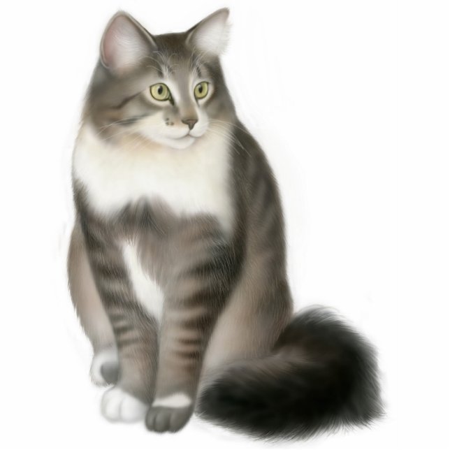 Duffy die Maine-Waschbär-Katzen-Verzierung Fotoskulptur Ornament (Vorne)