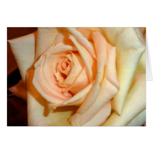 Duft (Vorderseite (Horizontal))