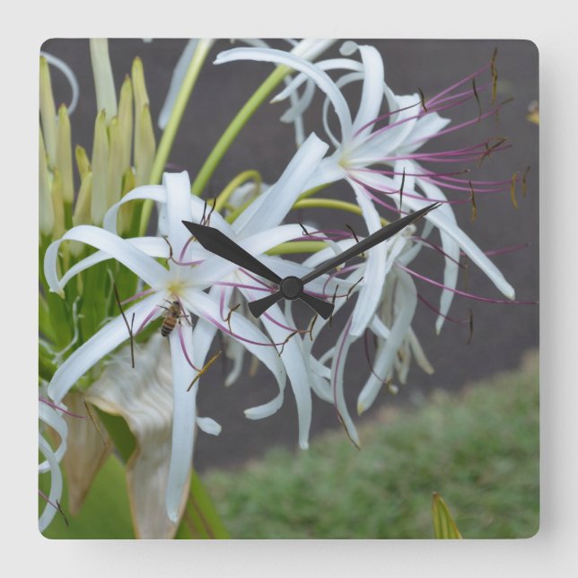 Duftsäulenhalterung Quadratische Wanduhr (Vorderseite)