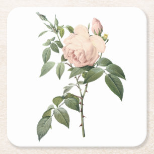 Dufttee-Rose von Redouté Rechteckiger Pappuntersetzer