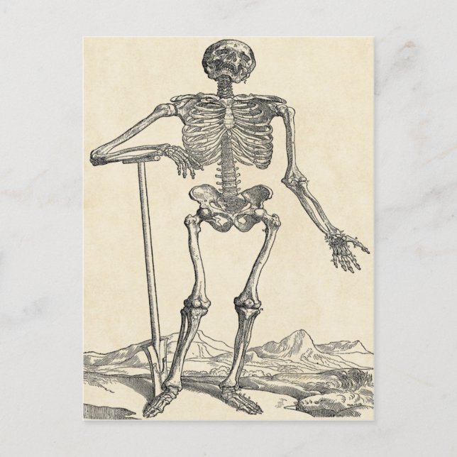 Dug seine eigene Grabpostkarte Postkarte (Vorderseite)