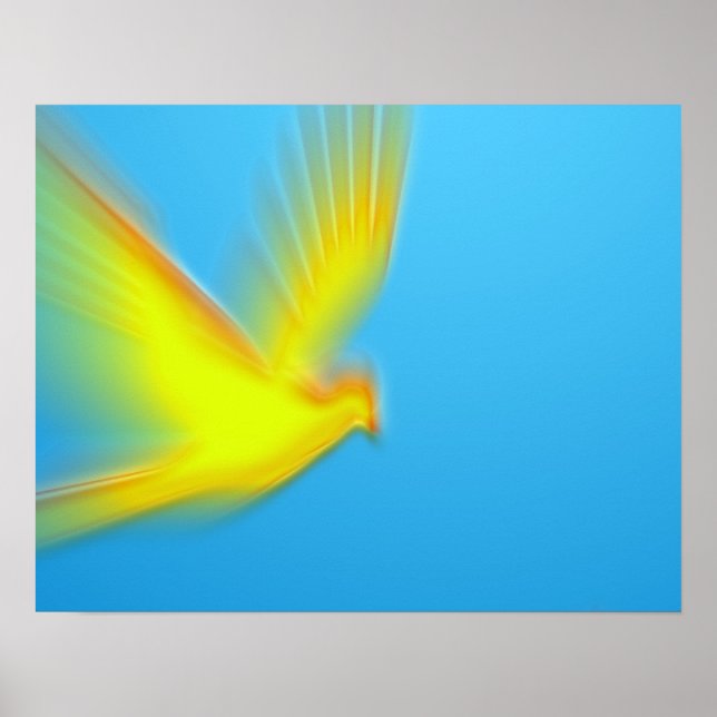 duif 03 poster (Vorne)