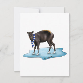 Duiker - Urlaubskarte Feiertagskarte