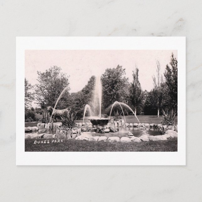 Duke's Park, Somerville, NJ 1907 Vintag Postkarte (Vorderseite)