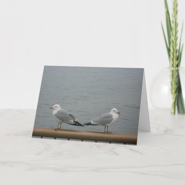 "Duluth Seagulls" Danke Karte (Vorderseite)