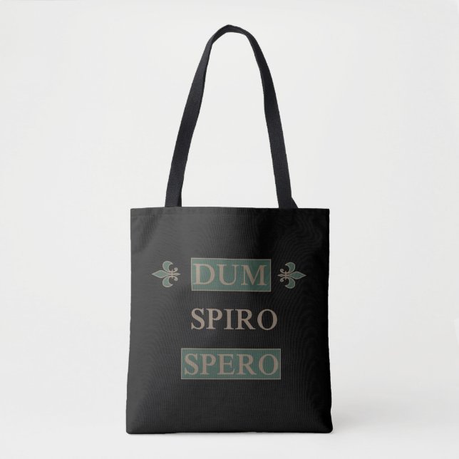 Dum spiro spero (Vorderseite)