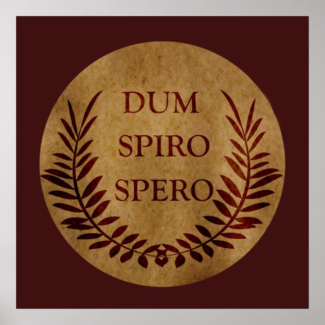 dum spiro spero, latin Phrase Poster (Vorne)