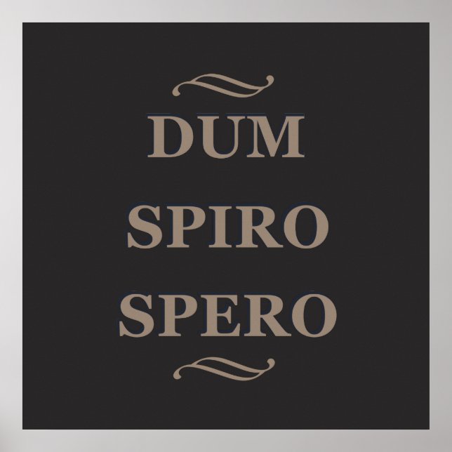 Dum spiro spero poster (Vorne)