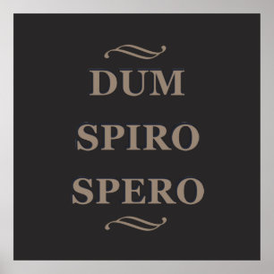 Dum spiro spero poster