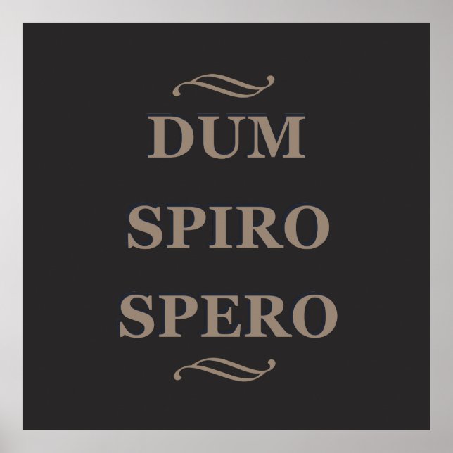 Dum spiro spero poster (Vorne)