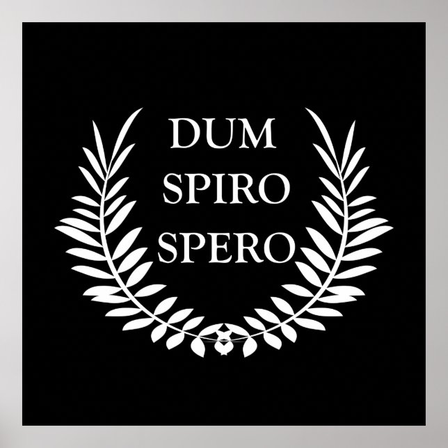 dum spiro spero poster (Vorne)