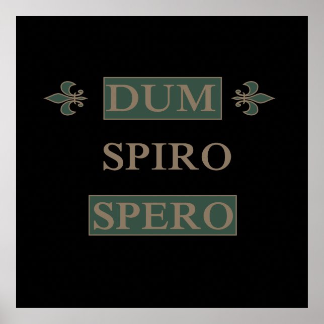dum spiro spero poster (Vorne)