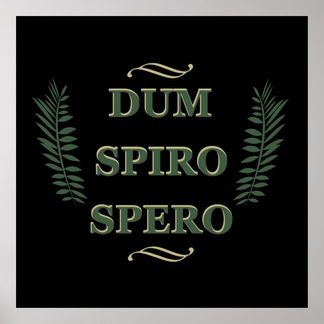dum spiro spero poster (Vorne)