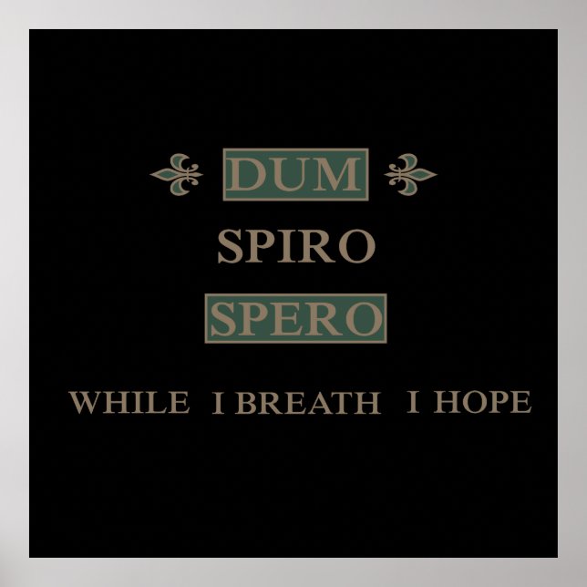 Dum spiro spero poster (Vorne)