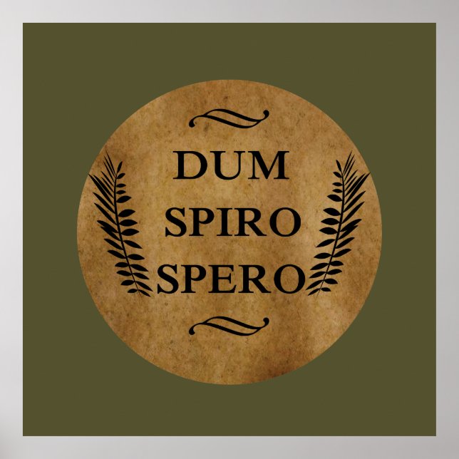 Dum spiro spero poster (Vorne)