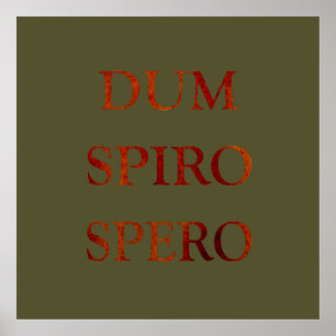 dum spiro spero poster