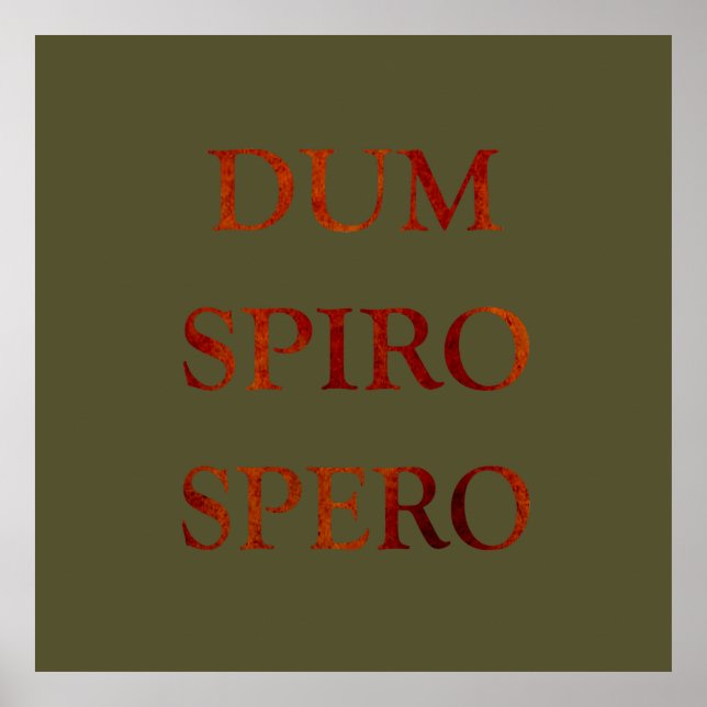 dum spiro spero poster (Vorne)