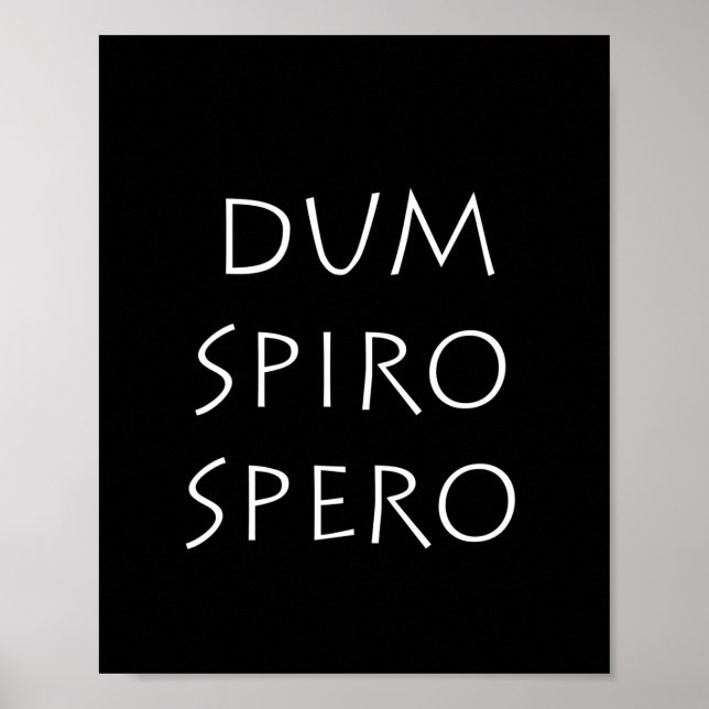 Dum spiro spero poster (Vorne)