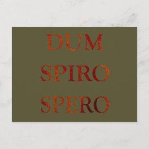 Dum spiro spero postkarte