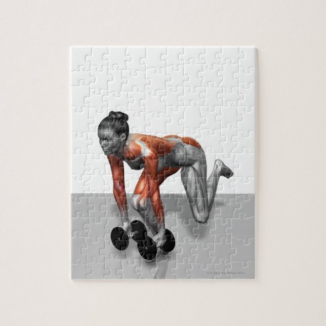 Dumbell Single Leg Deadlift Puzzle (Vertikal)