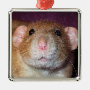 Dumbo Ratten-Verzierung Ornament Aus Metall