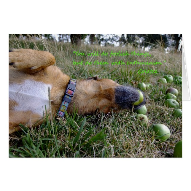 Dumme Dinge (Vorderseite (Horizontal))