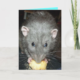Dumme Ratte isst Kuchen Geburtstagskarte Karte