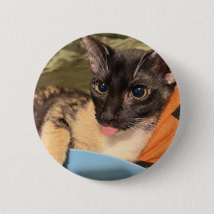 Dummer Kater Button