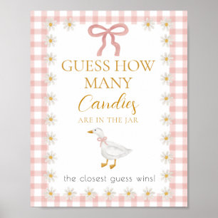 Dummerweise Gans Rosa Gingham Baby Shower Ratespie Poster