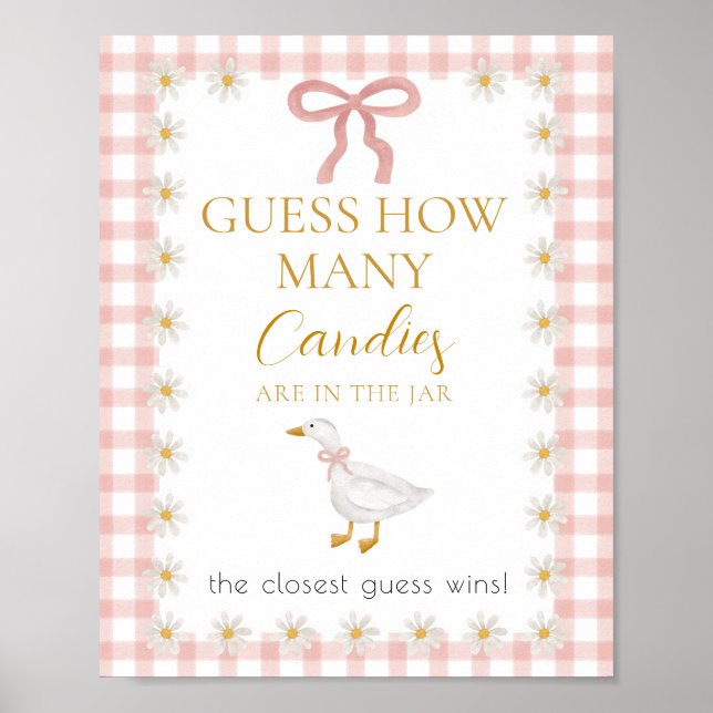 Dummerweise Gans Rosa Gingham Baby Shower Ratespie Poster (Vorne)