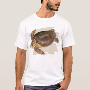 Dummkopf-Seeschildkröte-T - Shirt