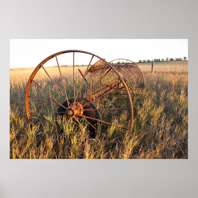 Dump Rake Poster (Vorne)