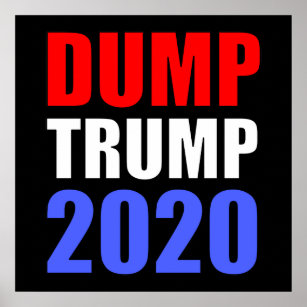 Dump Trump 2020 Anti-Trump Poster