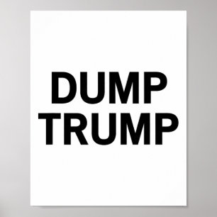 Dump Trump _2 Poster