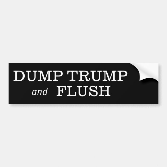 DUMP-TRUMPF AUTOAUFKLEBER (Vorne)