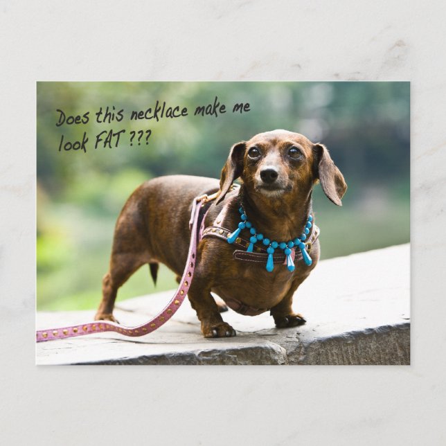 Dumpling Shows ihrer Edelsteine Postkarte (Vorderseite)